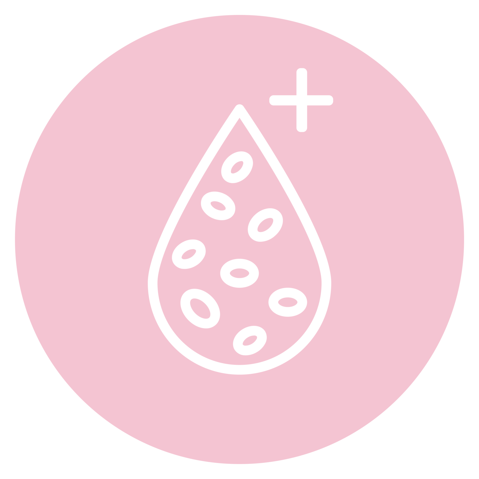 Personal Growth Mentoring